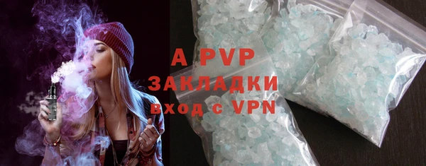 индика Белоозёрский