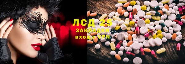 индика Белоозёрский