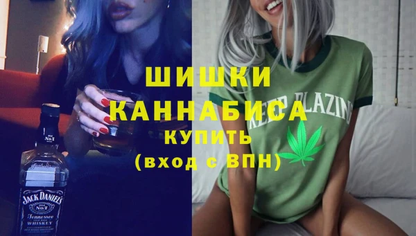 индика Белоозёрский