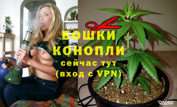 стафф Беломорск