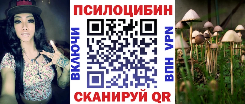 нарко площадка как зайти Красный Холм Галлюциногенные грибы ЛСД